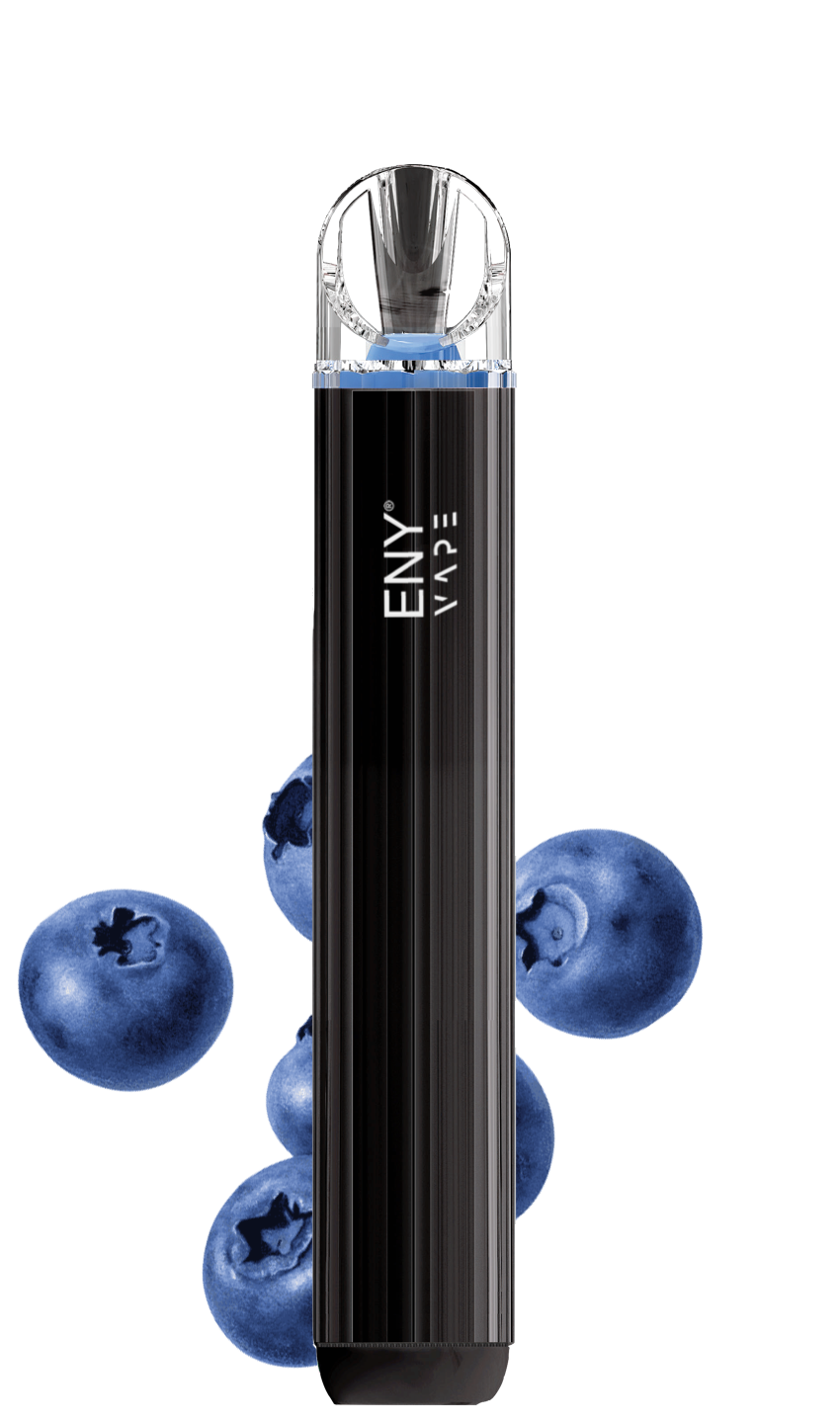 Blaubeere ENY VAPE PRO 700 züge